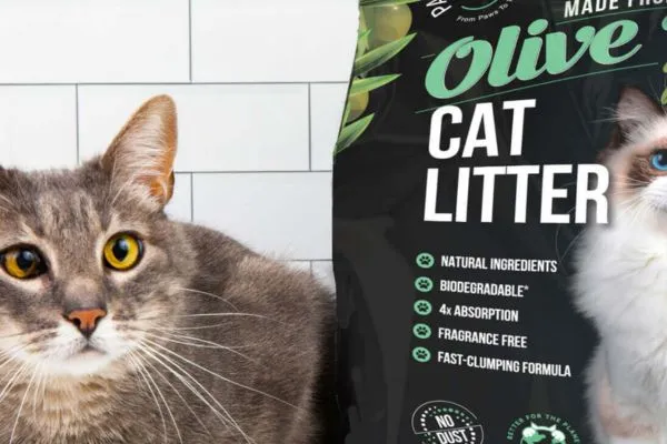 cat-litter